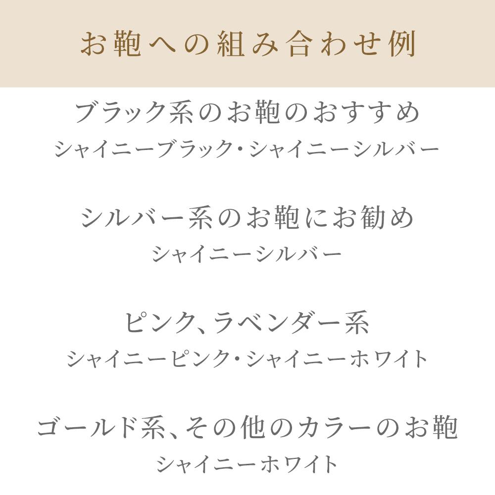 Forワイヤーバッグ ワイヤーバッグ対応バッグインバッグ